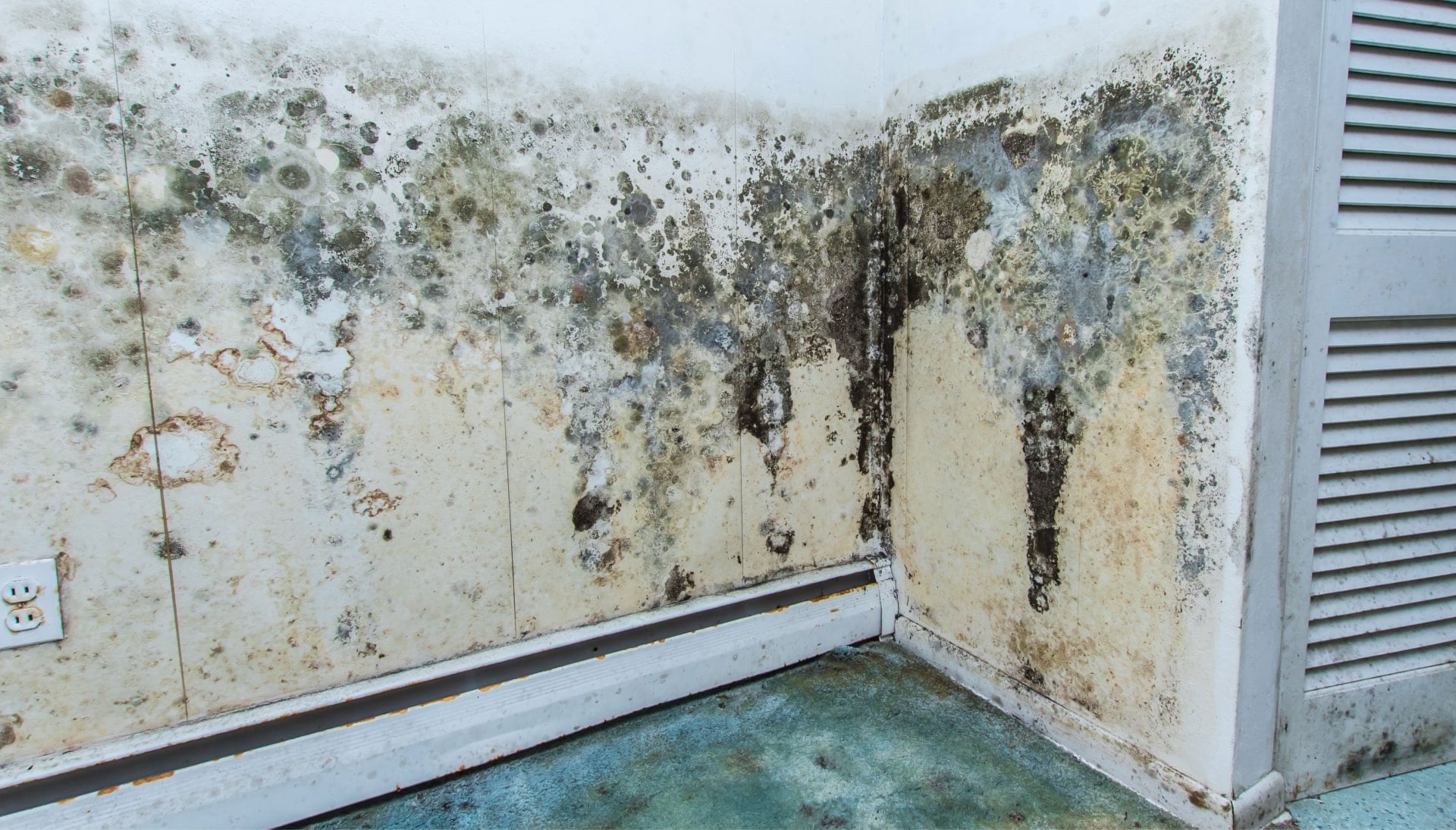 Professional mold removal, odor control, and water damage restoration service in Provo, Utah.