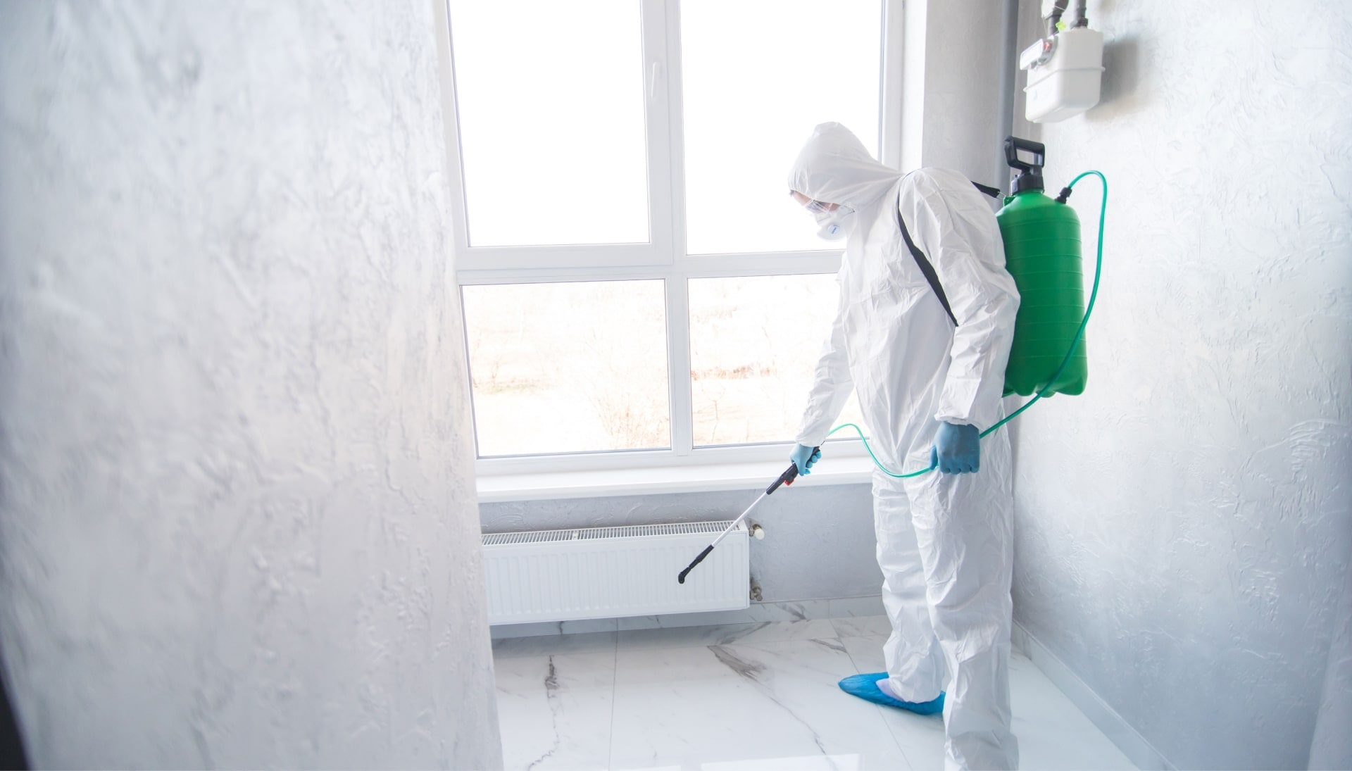 We provide the highest-quality mold inspection, testing, and removal services in the Provo, Utah area.